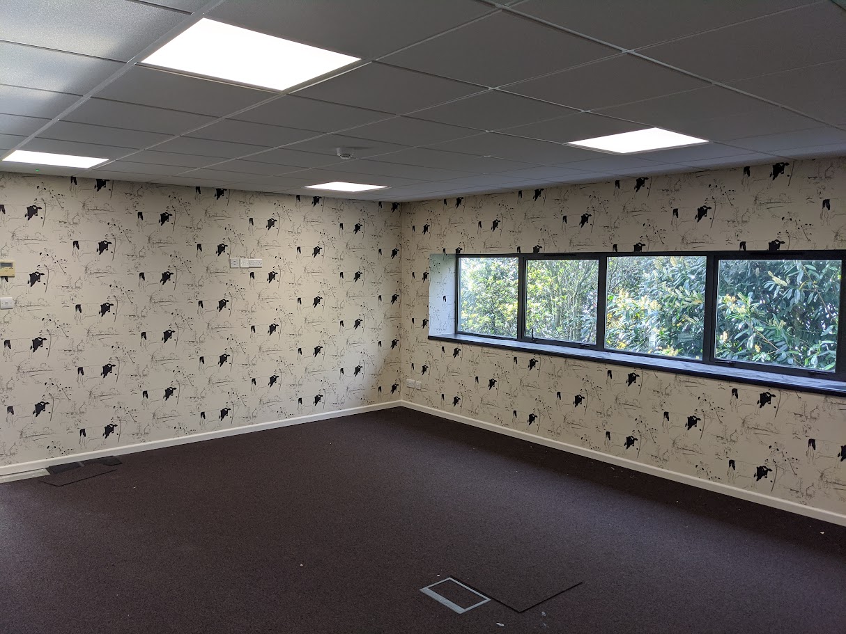 Commercial decorators installing wallpaper in a Sheffield office workspace